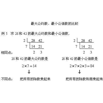 約數 意思